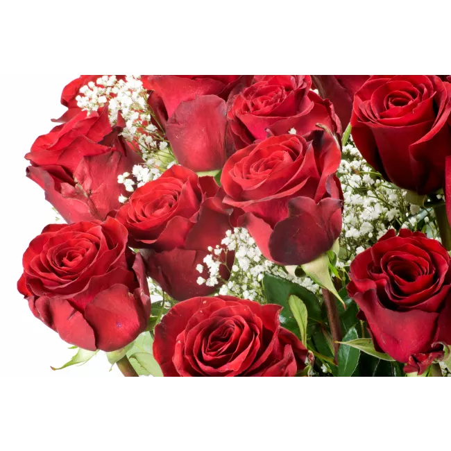 Kytice ekvádorských růží 80cm